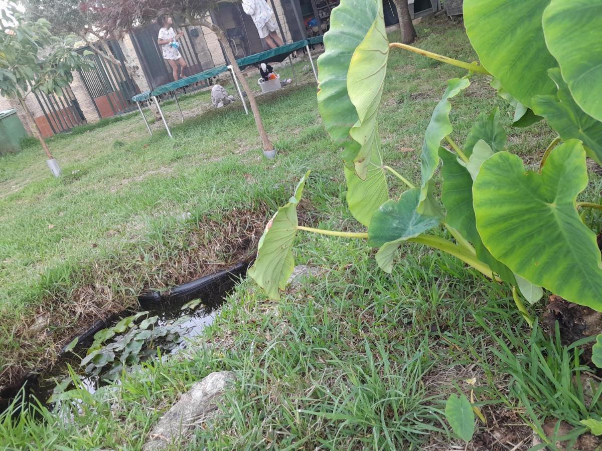 La Casa De Las Ranas Poio Exteriér fotografie